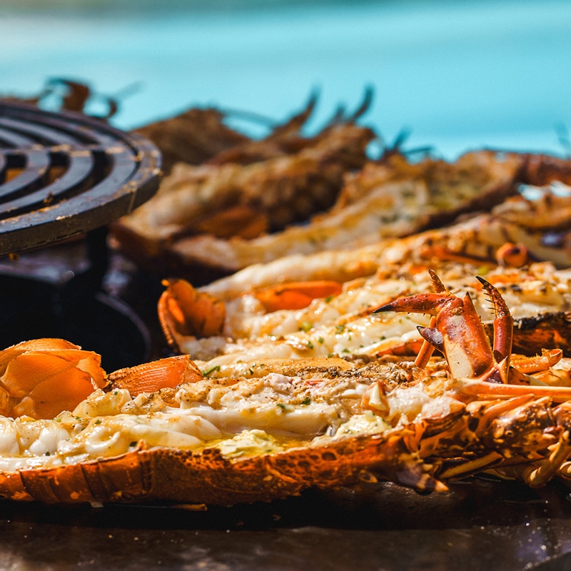 Homards grillés au barbecue assaisonnés d'herbes fraîches, servis en bord de piscine par une journée ensoleillée.